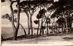 Juan Pines - the Pine forest - CPA