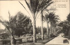 Antibes - Cape D' Antibes Garden of the Villa Ellen Roe - CPA