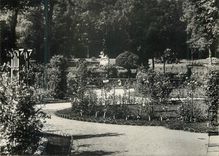 CPM Nancy 25 un coin de la pepiniere