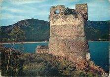 CPM Charmes et couleurs de la corse 2034854 la tour de sagone