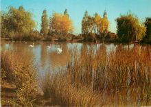 CPM Saint pierre de tourtour (var) le lac en automne