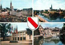CPM 67482149 souvenir de strasbourg