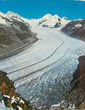 CPM 54 blick vom eggishorn auf den grossen aletschgletscher