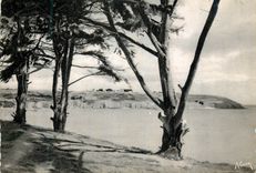 CPA Saint Laurent C du N La Plage