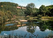 CPA Un joli Coin de Bretagne Le Lac de Guerledan C du N