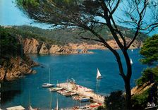 CPM La Cote des Maures Domaine Le Cap Benat a Bormes Les Mimosas Var Le Port prive des Yachts Bateaux