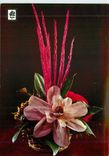 CPM Collection Flores Silvesteres