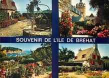 CPM Couleurs et Lumiere de France La Bretagne Ile de Brehat Cotes du Nord Ile des fleurs et des roches roses