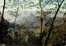 CPM Saint Cere (Lot) Les Tours de Saint Laurent