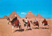 CPM Giza Front of the Pyramids