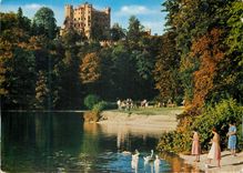 CPM Konigsschloss Hohenschwangou Mit Alpsee