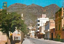 CPM Tavernes de Valldigna (Valenela) Vue Partielle du Promenade de Calvo Sotelo