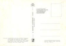 CPM Tavernes de Valldigna (Valenela) Vue Partielle du Promenade de Calvo Sotelo