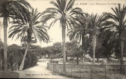 Nice - Palm trees of the Castle - Arcades of Casino - CPA