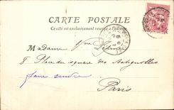 Nice - the Cave of the New Gardens - swan - lion - CPA