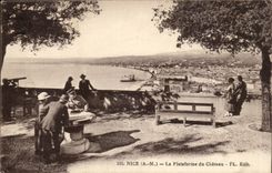 Nice - the Platform of Castle CPA