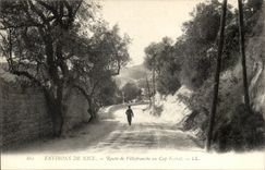 Surroundings of Nice - Road of Villefranche to the Cape Ferrat - CPA