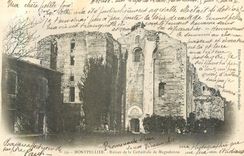 CPA Montpellier Ruines de la Cathedrale de Maguelonne (carte 1900)