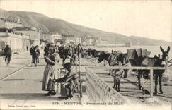 Menton - Walk of the South - ass - CPA - donkey