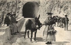 Menton - Road of Nice - ass - CPA donkey