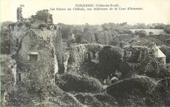 CPA Tonquedec (Cotes du Nord) Les Ruines du Chateau vue Interieure de la Cour d'Honneur