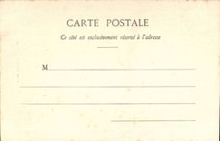 Nice CPA palm trees of the castle