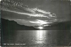 CPM 2540 lac leman coucher du soleil