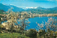 CPM Lugano Paradiso Panorama Generale