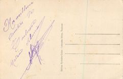 CPA Toulouse La Rue d'Alsace Lorraine (Vue Plongeante)