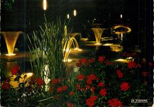 CPM Lyon La Rosairaie de Nuit Les Jets d'Eau et le Petit Pont