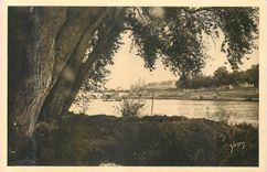 CPA Tours La Douce France Bords de la Loire La Cathedrale et Pont de Pierre