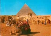 CPM Giza the Great Sphinx and the Pyramid of Kephre Chameaux