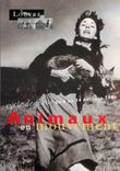 CPM Louvre Auditorium Cycle de Films du 3 au 14 Octobre 1996 Animaux en Mouvement Renard