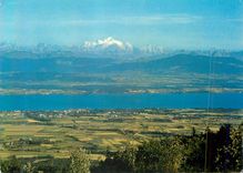 CPM Le Mont Blanc et le Lac Leman Vue de st Cergue alt 1047 m (Jura Suisse)