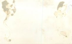 Photo Femme Bateaux de peche