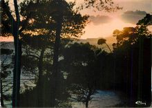 CPM Le Pravet (Var) Coucher de Soleil sur la Plage de Monaco