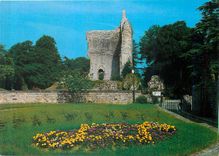 CPM Domfront (Orne) Ruines de l'Ancien Donjon