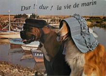 CPM Chiens