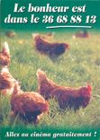 CPM Le Bonheur est dans le… 36 68 88 13 Poules 