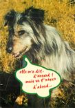 CPM Chiens