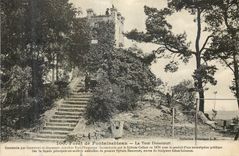 CPA Souvenir de fontainbleau  La Tour Denecourt