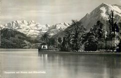 CPM Thunersee mit Niessen und Bittewlfwip