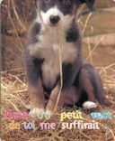 CPM Animaux chiens