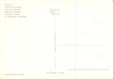 CPM Roma Colonne Antonina