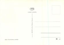 CPM Four a raclette valaisan