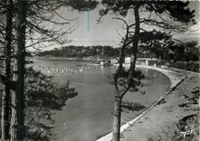 CPM Trebeurden (C du N)La plage de Trozoul et le port a travers les arbres du Castel