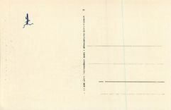 CPA Raz de Sein Le Phare de la Vieille 