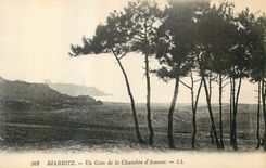 CPA Biarritz Un coin de la Chambre d Amour 