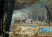 CPM A la limite de la Sologne Chambord 
