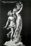CPM Roma Apollo E Dafne Bernini (Museo di Villa Borghese)